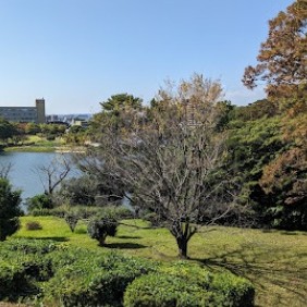 【大池公園】
四季の息吹を五感で慈しむ、市民の憩いの森です。広大な池を囲む園内には、春の桜、初夏の花しょうぶ、秋の紅葉と、色鮮やかな景色が広がります。ウォーキングや動物との触れ合いも楽しめ、日常の喧騒を忘れて心と体を整える、贅沢な余白を与えてくれます。
