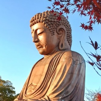 【聚楽園公園】
高さ18メートルを超える巨大な大仏様が、街を穏やかに見守る東海市のシンボルです。聚楽園駅すぐの広大な園内は、春の桜や秋の紅葉の名所としても知られ、歴史の重みと豊かな自然が融合しています。散策するだけで心が整う、街の誇りを感じる聖域です。