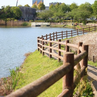 【新海池公園】
静かな池を中心に緑が広がる自然豊かな憩いの場。ジョギングや散歩に最適で、春は桜、秋は紅葉が美しく、四季の移ろいを感じられる名古屋市緑区の人気スポットです。