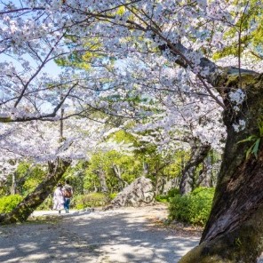 100年以上の歴史が刻まれたこの公園は、和洋が混在する幾何学的な様式美に溢れています。噴水塔や奏楽堂が描くクラシカルな輪郭は、時代を超えて愛される「本物のディテール」を再確認させてくれます。
広大な敷地には、図書施設やカフェが点在し、都市の喧騒から切り離された静かな時間が流れます。朝の澄んだ空気の中でジョギングを楽しんだり、夕暮れに散歩したり。四季折々の色彩を愛でながら思考を整える、そんな「余白」のある暮らしが、すぐそばに待っています